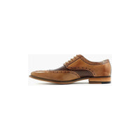 Stacy Adams Tinsley Wingtip Oxford Mens Shoes Lace Up Tan Multi 25092-238